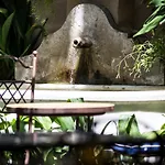 Hotel America